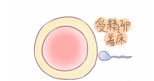 试管婴儿会失败吗？失败的原因是什么？