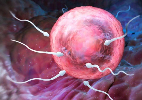 精子活力低于百分之十可以做试管婴儿吗？成功率多少？