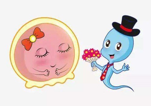 试管婴儿第三代需要多少钱