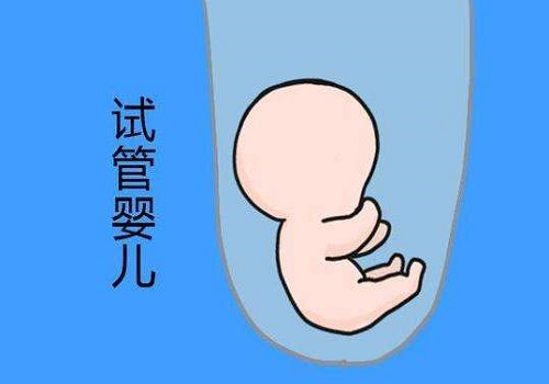 为何美国试管婴儿备受国人青睐 中美差异对比