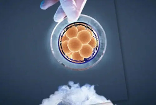 第三代试管的步骤和时间分别是怎样