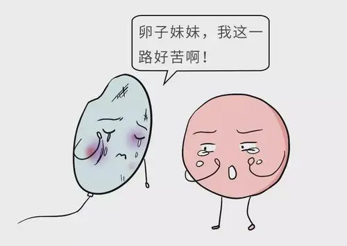 试管什么时候纳入医保？2022年？