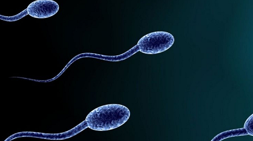 精子百分之十可以做试管吗？怎么调理？