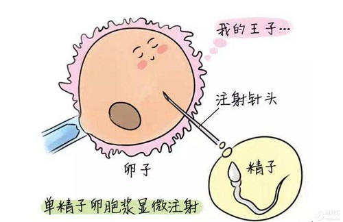 虎年海南慈铭博鳌三代试管费用15万吗？