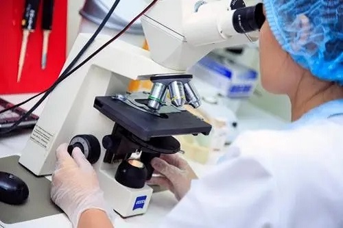 泰国：试管放2个胚胎的成活率有多高？有风险吗？
