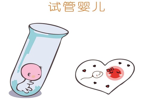 精液不液化能做试管婴儿吗？能成功吗？