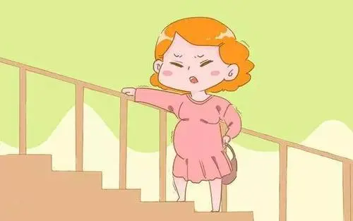 衢州试管婴儿饮食流程，要注意几点？