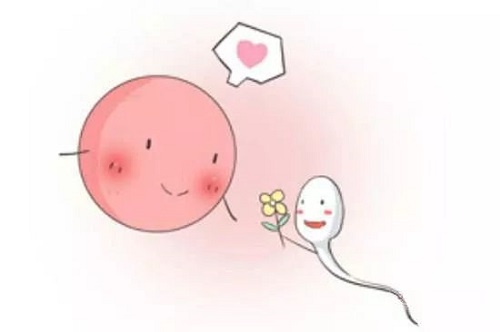 节省试管婴儿费用的方式有什么