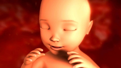 衡阳试管婴儿专家解读：什么是免疫性不孕