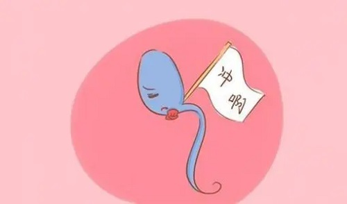 第二次试管容易成功？真的吗？