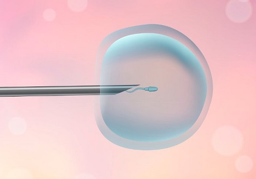 去美国做试管婴儿，如何才能顺利的取卵与移植？