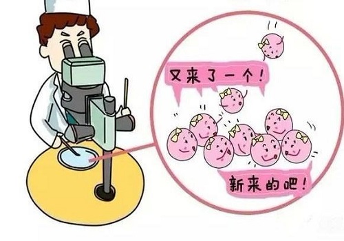 第三代试管婴儿费用多少钱