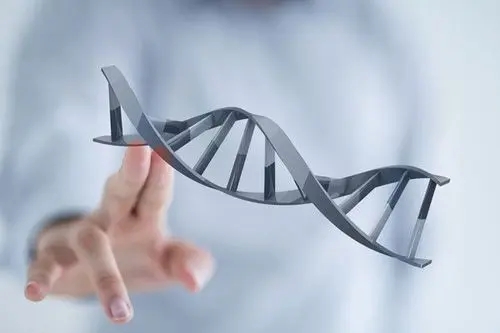 精子畸形对试管婴儿成功率有什么影响？