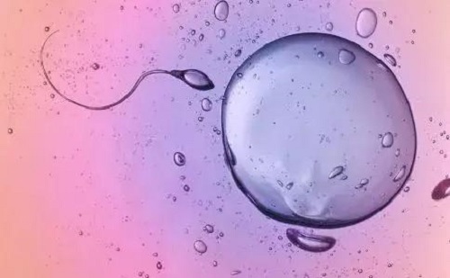 第三代试管婴儿亲身经历，怎么怀孕？