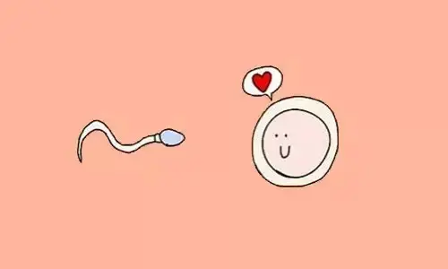 4月美国试管婴儿答疑会：解除大龄女性孕育健康危机