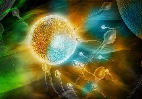 与美国试管婴儿技术相关的4个问题解析