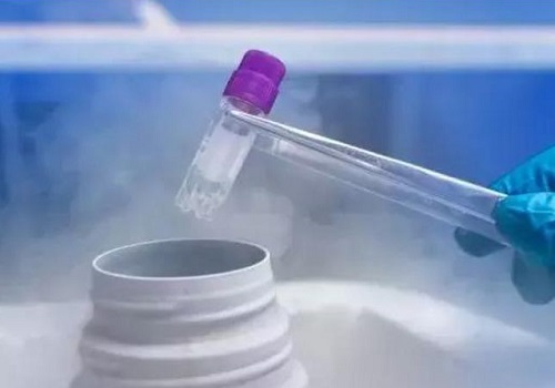 不明原因性不孕可以去美国做试管婴儿吗？能不能成功怀孕？