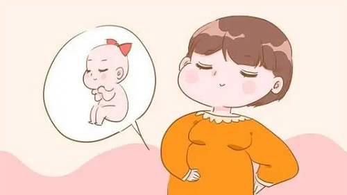 试管做价格便宜吗？